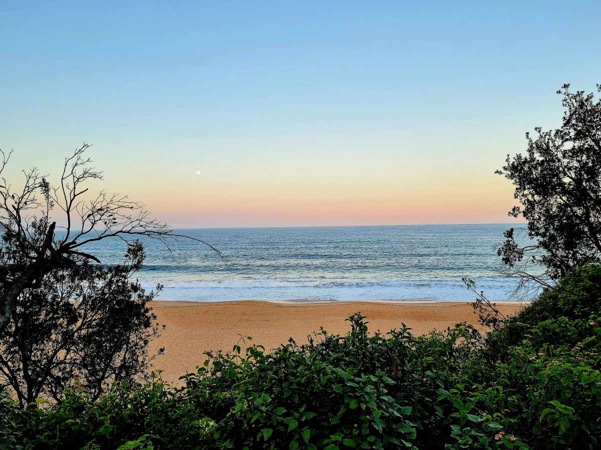 terrigal beach