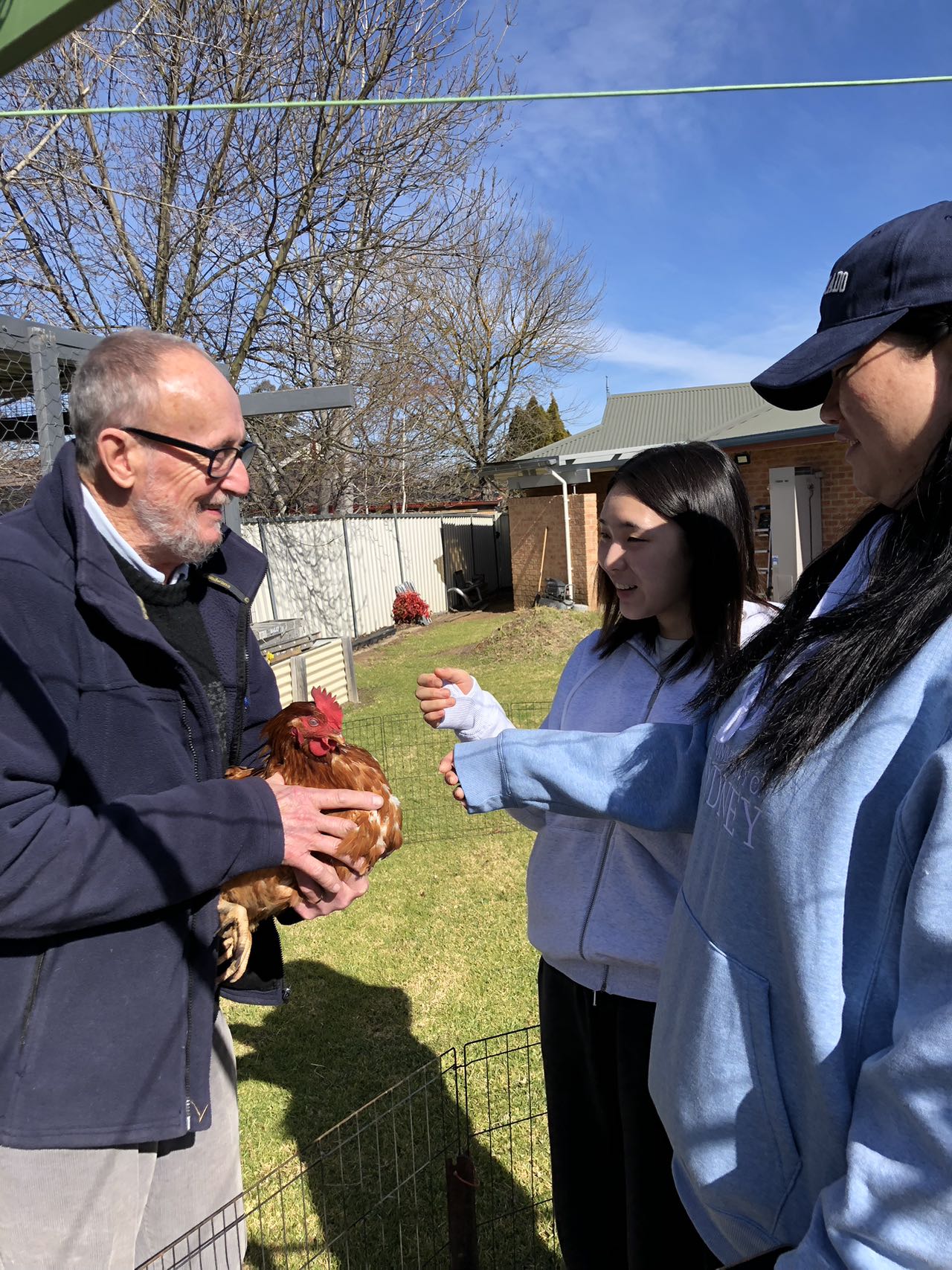 korean students with chicken.jpg